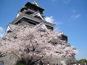 たまらなく旅行したくなるトピ