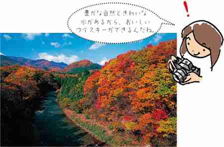 ヒッチハイクの人を乗せた事のある人
