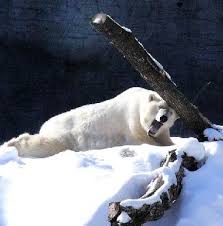 【閲覧注意】痛~い画像を貼るトピ