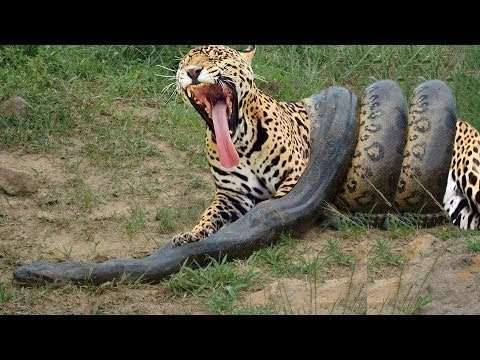 【閲覧注意】痛~い画像を貼るトピ