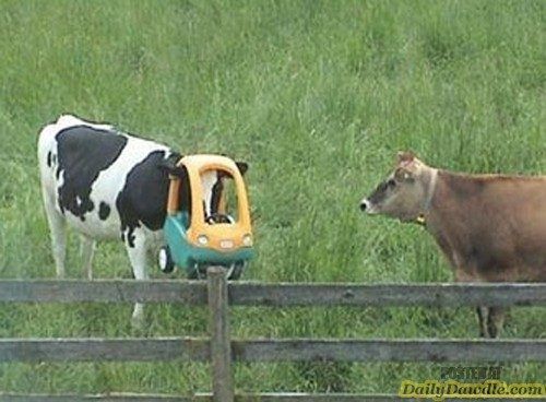 【閲覧注意】痛~い画像を貼るトピ