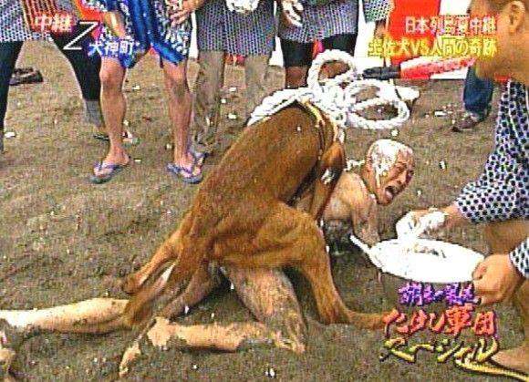 大型犬はいるのにどうして大型猫はいないの?←戦闘力が違うから
