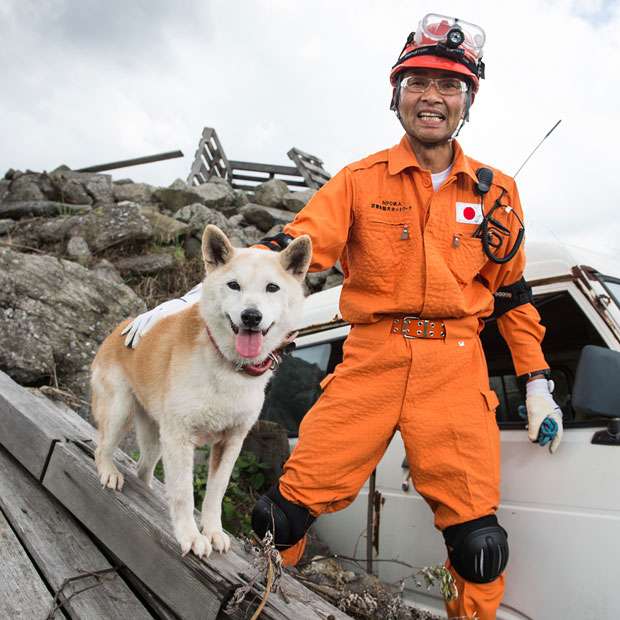 大型犬はいるのにどうして大型猫はいないの?←戦闘力が違うから