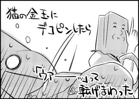 猫の「ω」の画像ください!