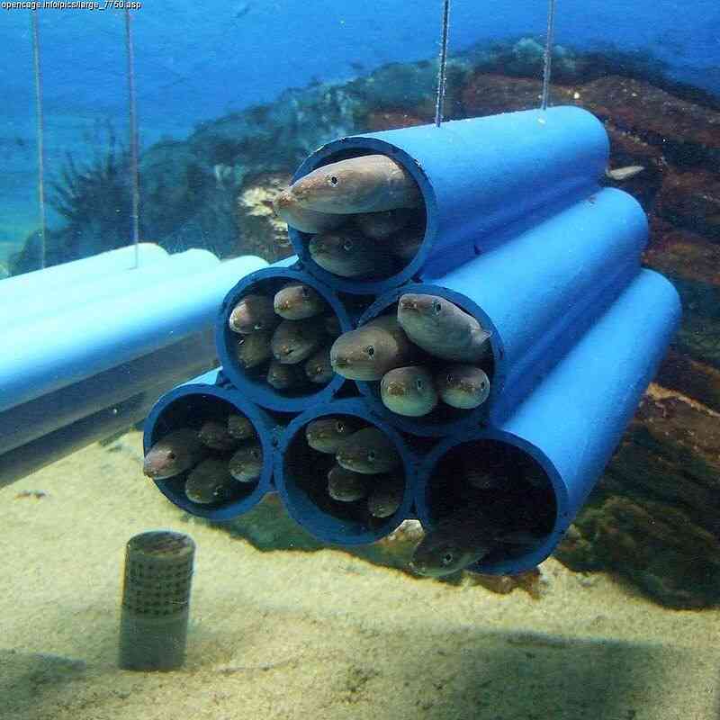 なんとなく疲れてる人がまったり回復するトピ