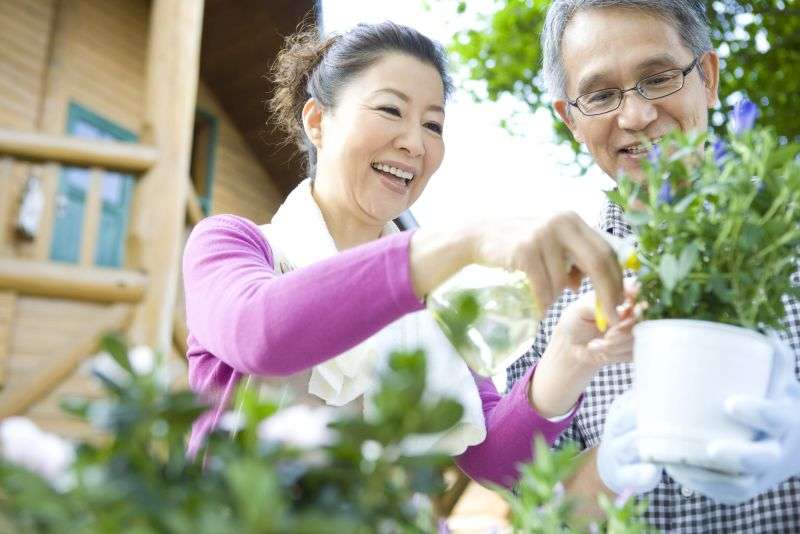 夫婦でお財布別の人!
