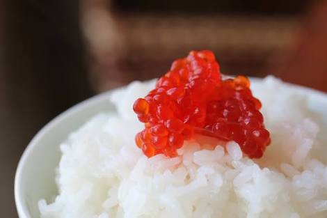 1万人に聞く一番好きな