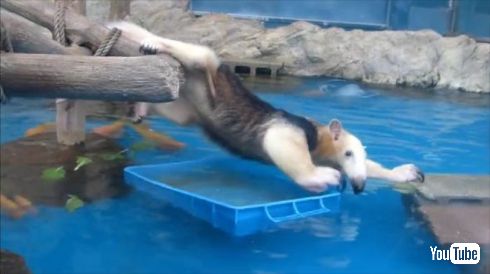 思い出し笑いエピソード
