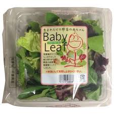 サラダに使う野菜について