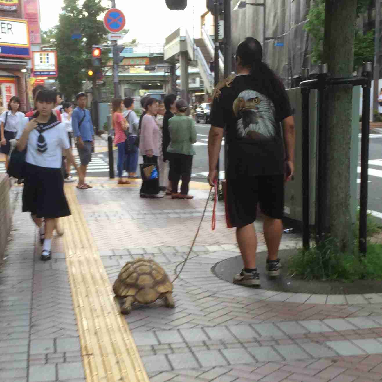 実際にこんな人を見たことがあったらプラス