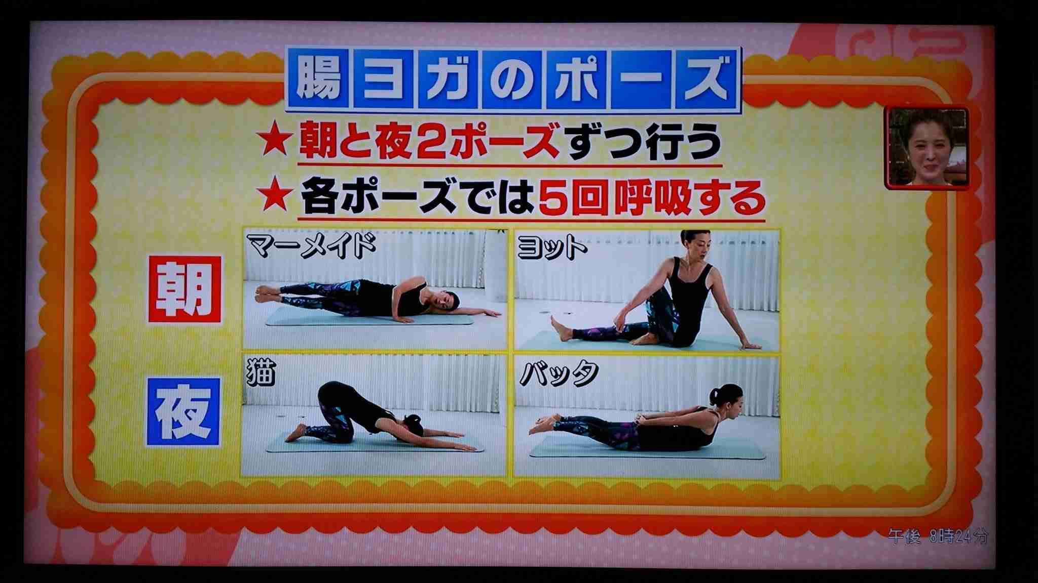 腸もみ・腸活について語りたい