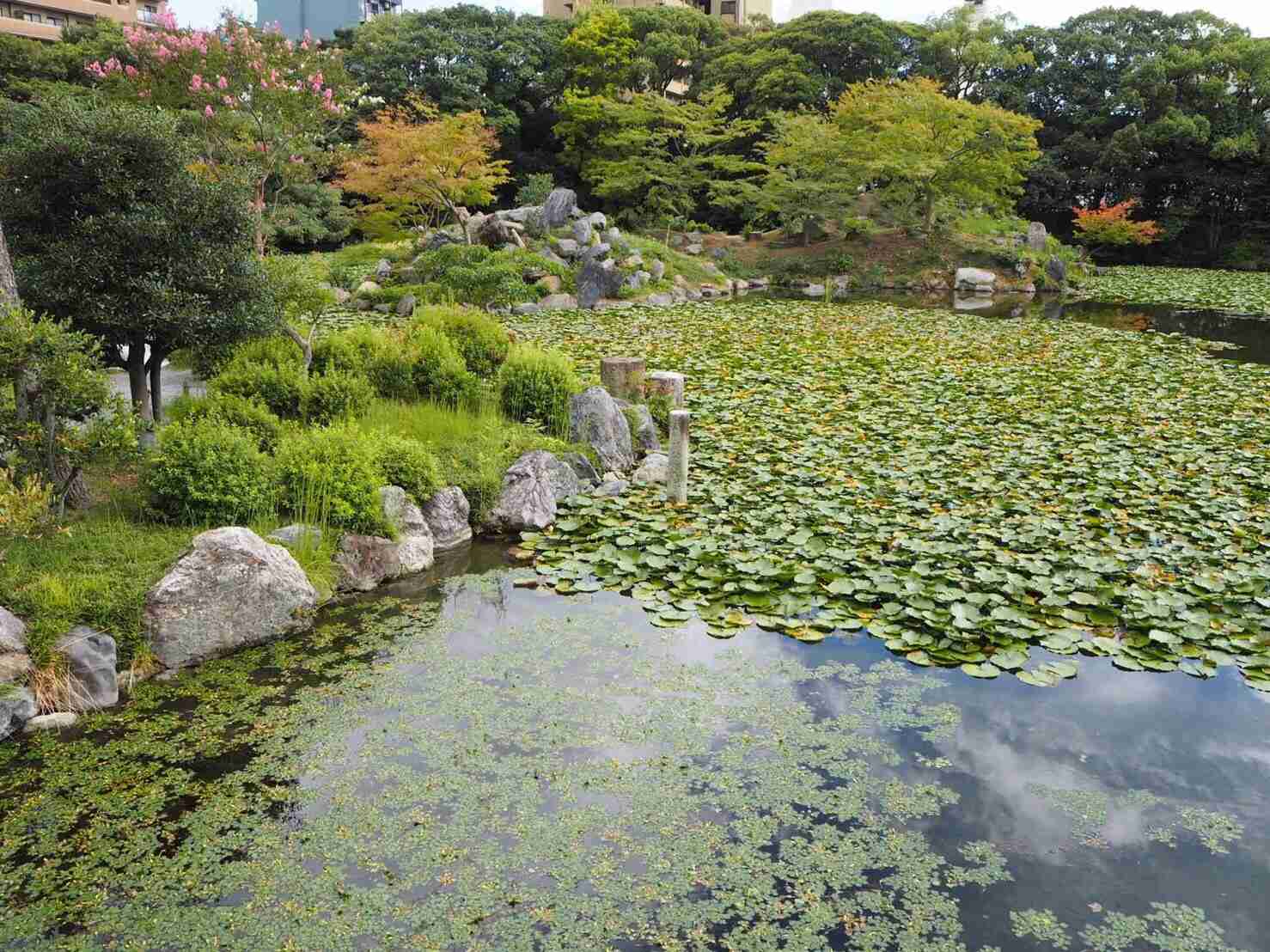 綺麗な庭園の画像を貼るトピ。