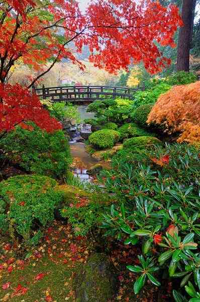 綺麗な庭園の画像を貼るトピ。