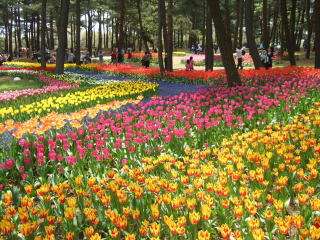 綺麗な庭園の画像を貼るトピ。