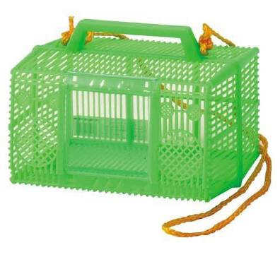 【虫嫌いの方】子供が虫を捕まえてきたらどうしますか?