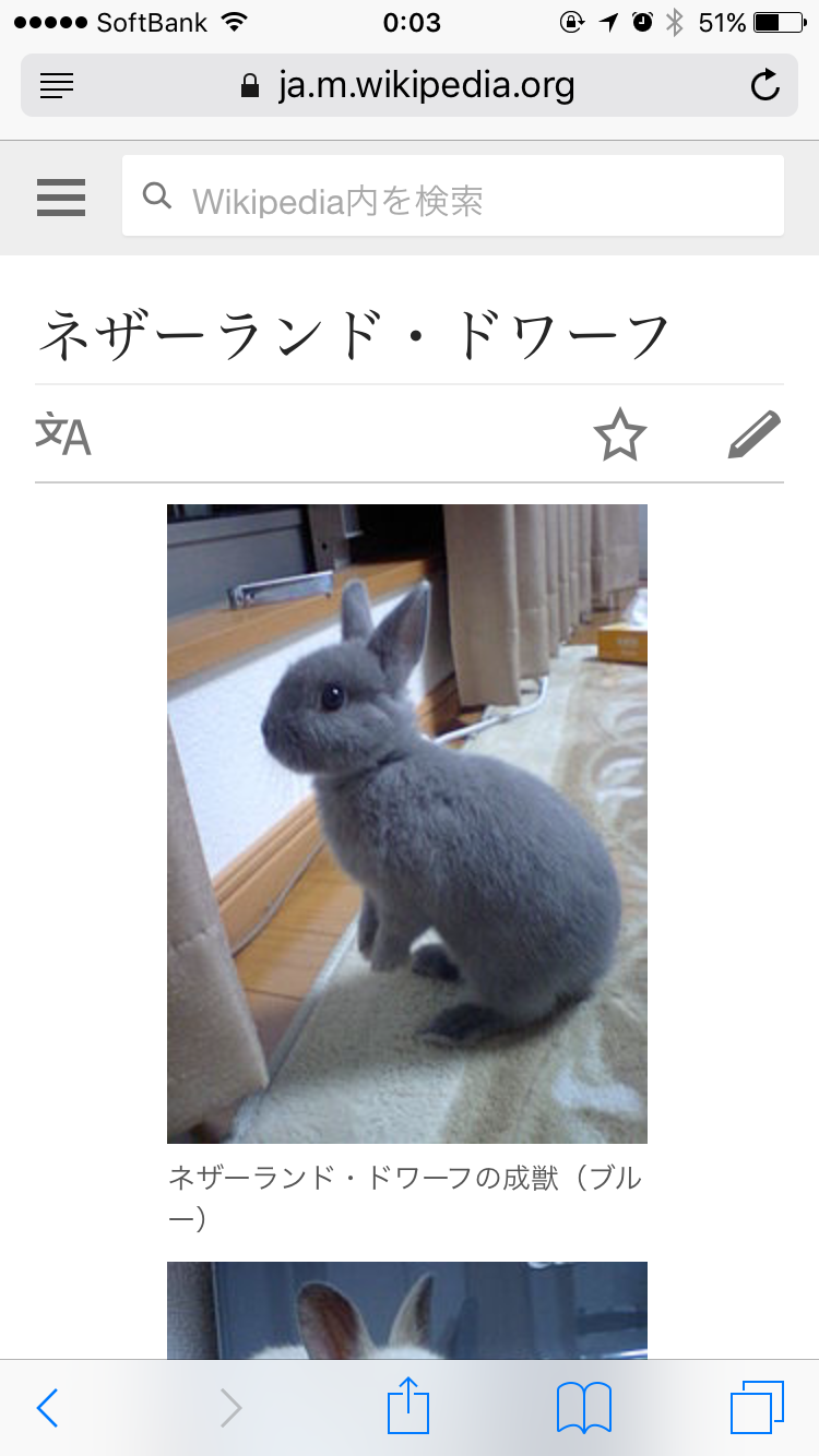 ペットに月々どのくらいお金かかってますか？