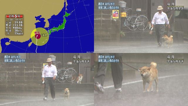 ガルちゃんシティーをつくろう！