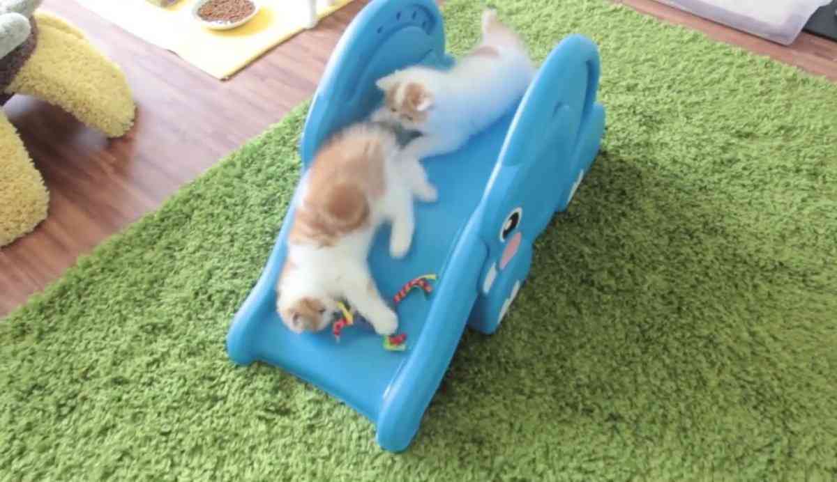 ガルちゃんシティーをつくろう！