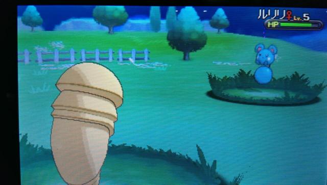 彼氏にしたいポケモン！(笑)