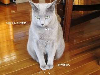 もふもふした動物達の画像を貼るトピ