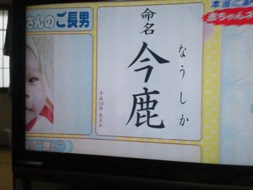 職場でボッチの人、いますか？