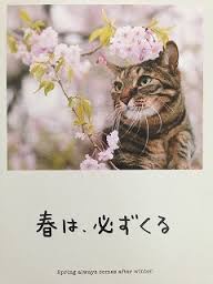心が軽くなる言葉