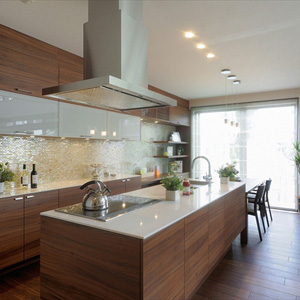 お金に関係なく家を建てられるならどこのメーカーにしますか?