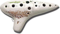 大人になってから始めた楽器