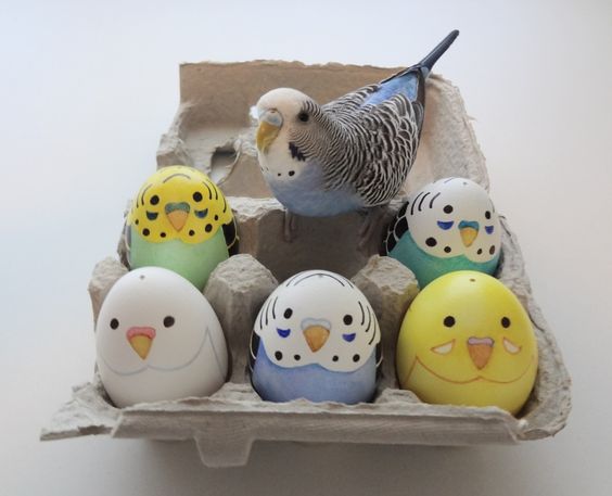 【画像】可愛い動物が溜まりに溜まるトピ