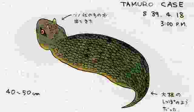 ガルちゃんのイメージ画像を貼ろう