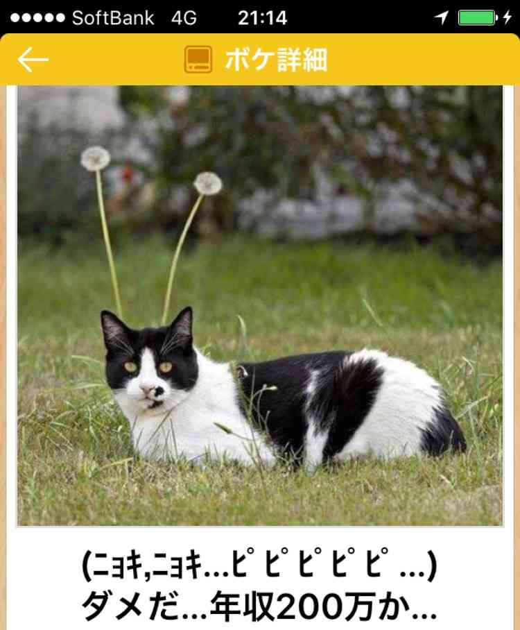 ガルちゃんのイメージ画像を貼ろう