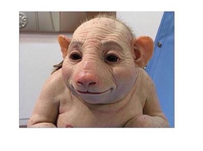 長男をブログで売り出し？辻希美に新たな