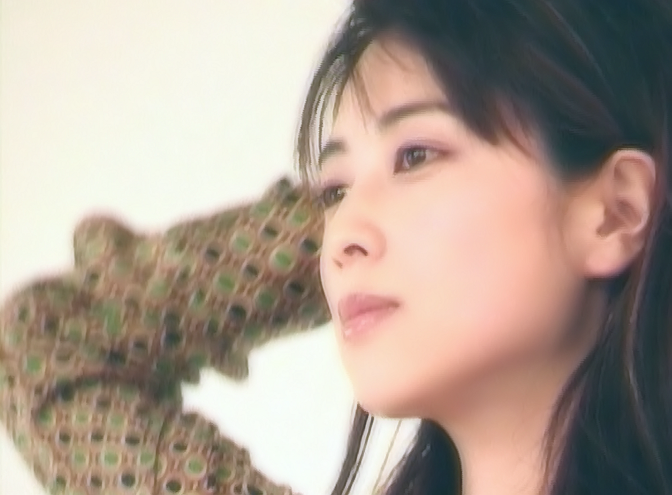 綺麗な目の人