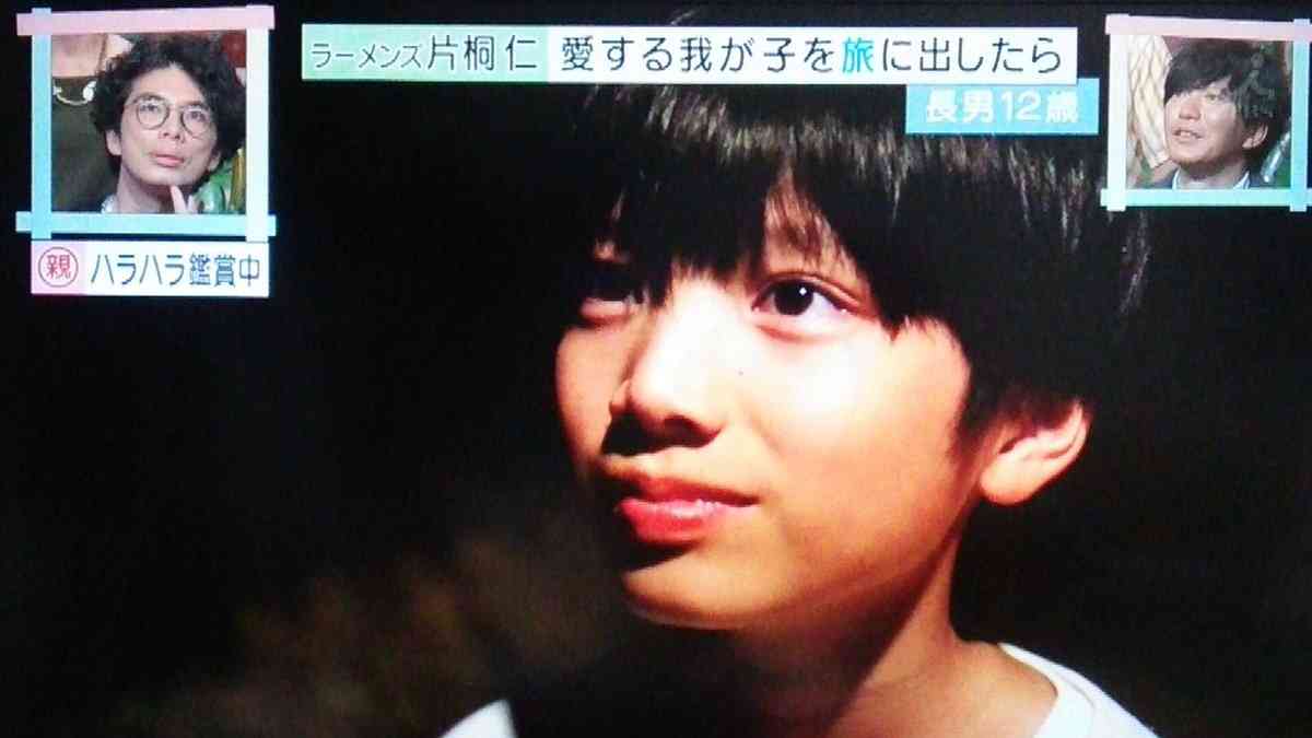 綺麗な目の人