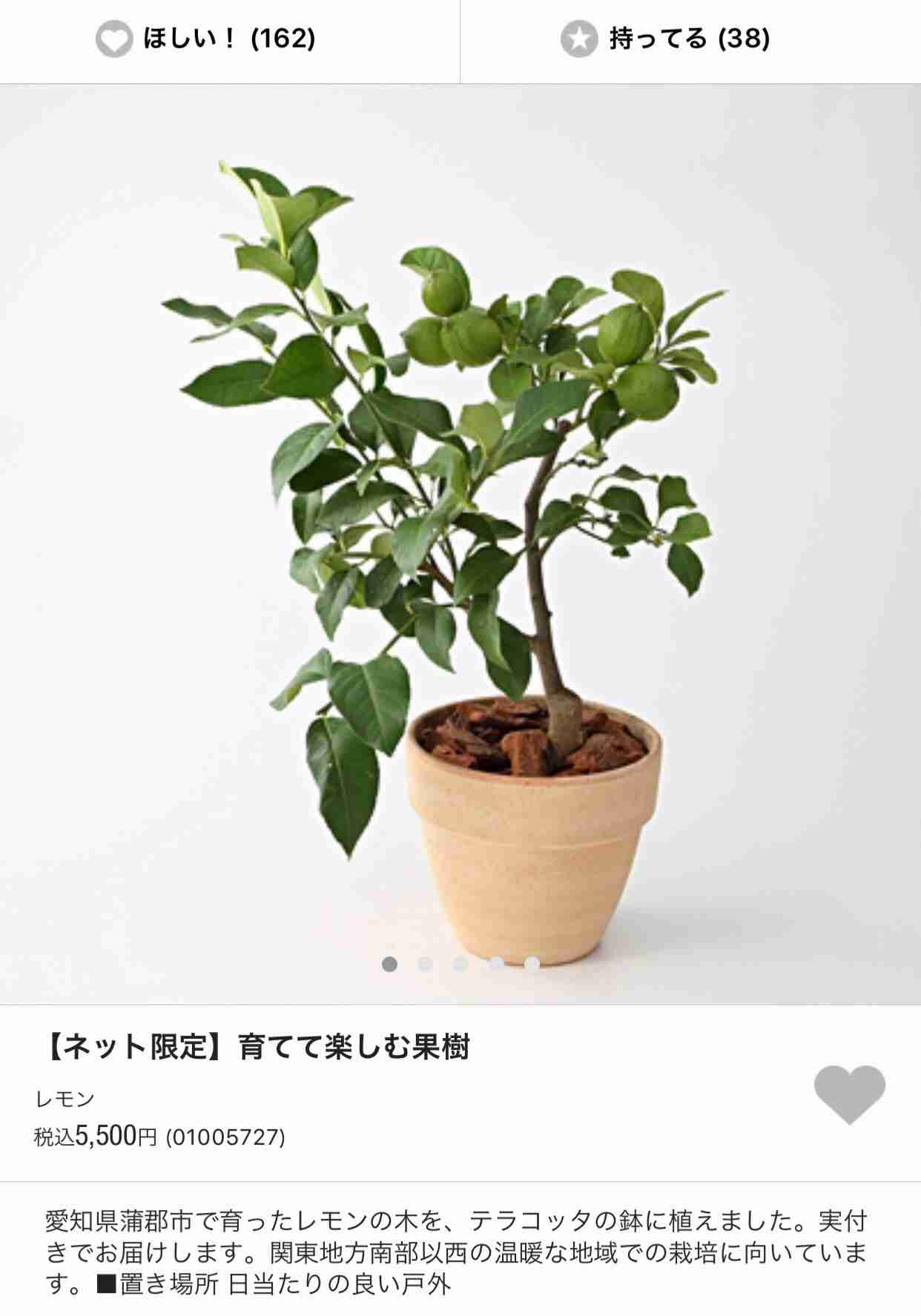 無印良品週間！何買いますか？