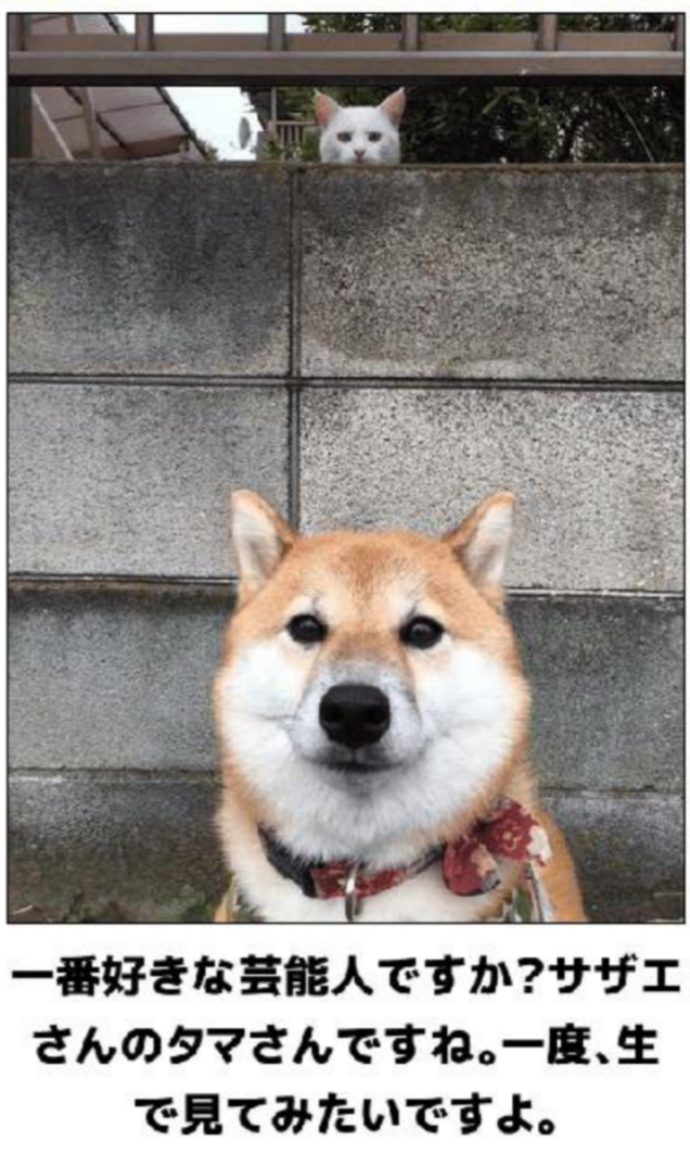 輝く！ガルちゃん定番アワード