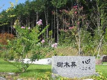 年々増加する女性の「死後離婚」　どんなメリットがあるのか