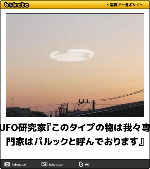 見たい動画や画像をリクエストすると優しい人が貼ってくれるトピ
