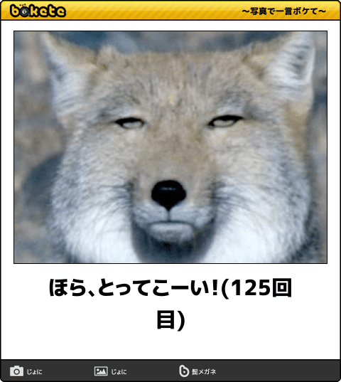 見たい動画や画像をリクエストすると優しい人が貼ってくれるトピ