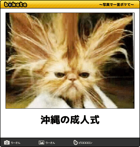 見たい動画や画像をリクエストすると優しい人が貼ってくれるトピ