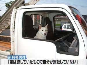 【動物限定】決め顔コレクション