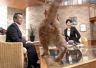 放送事故だと思う画像のトピ