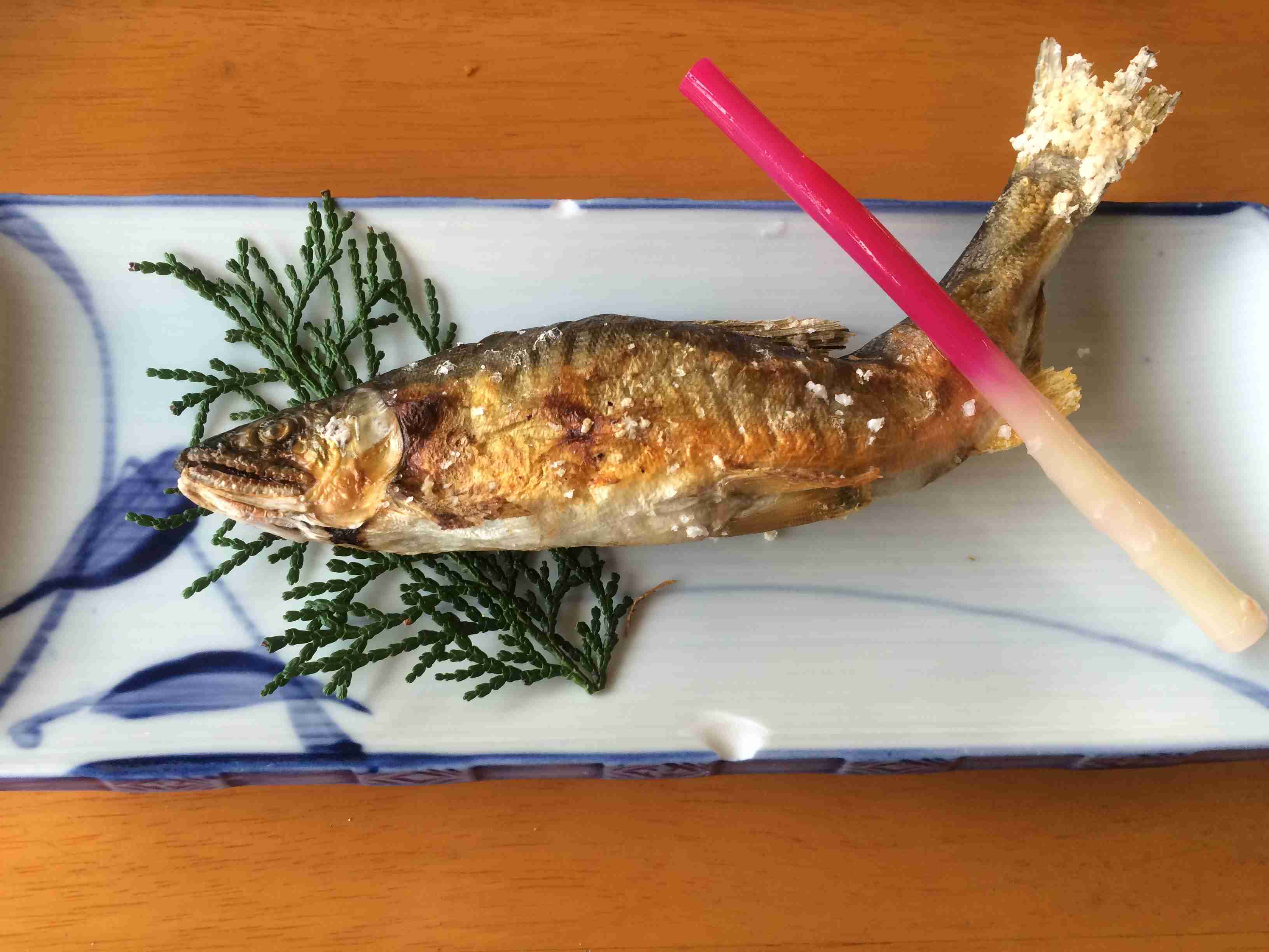 岐阜県にみんな来てー！