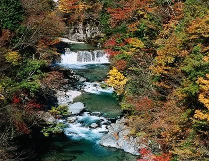 岐阜県にみんな来てー！