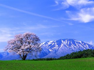 山の画像を貼るトピ