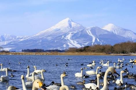 山の画像を貼るトピ