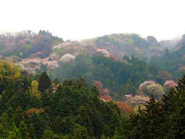 山の画像を貼るトピ