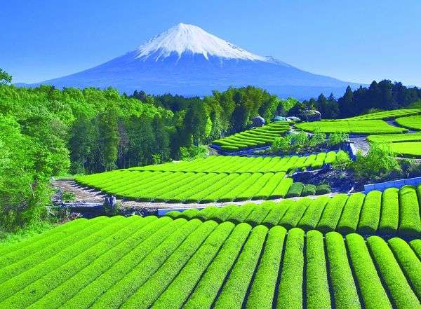 山の画像を貼るトピ