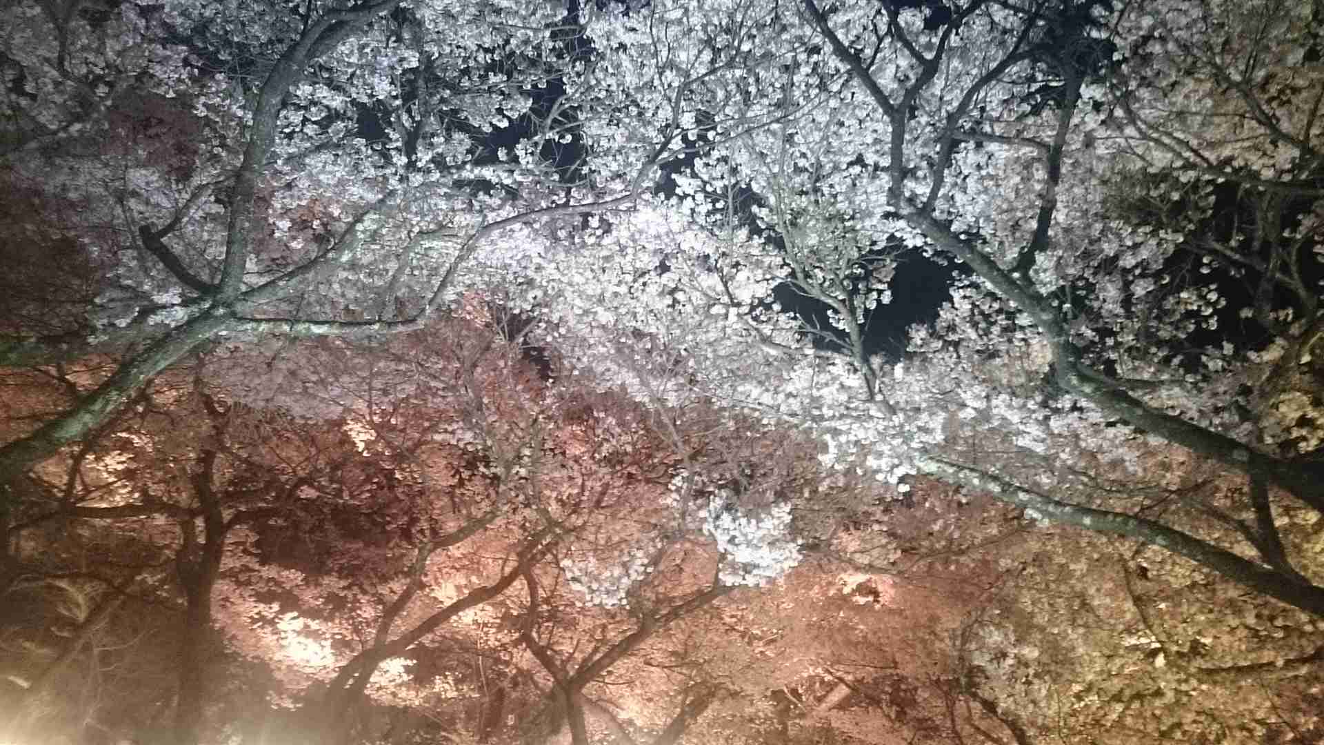 我が町自慢