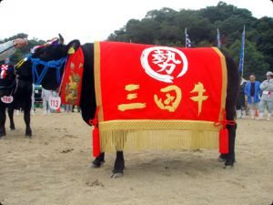 我が町自慢